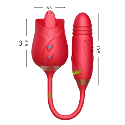 Lengua + Vibrador Rose